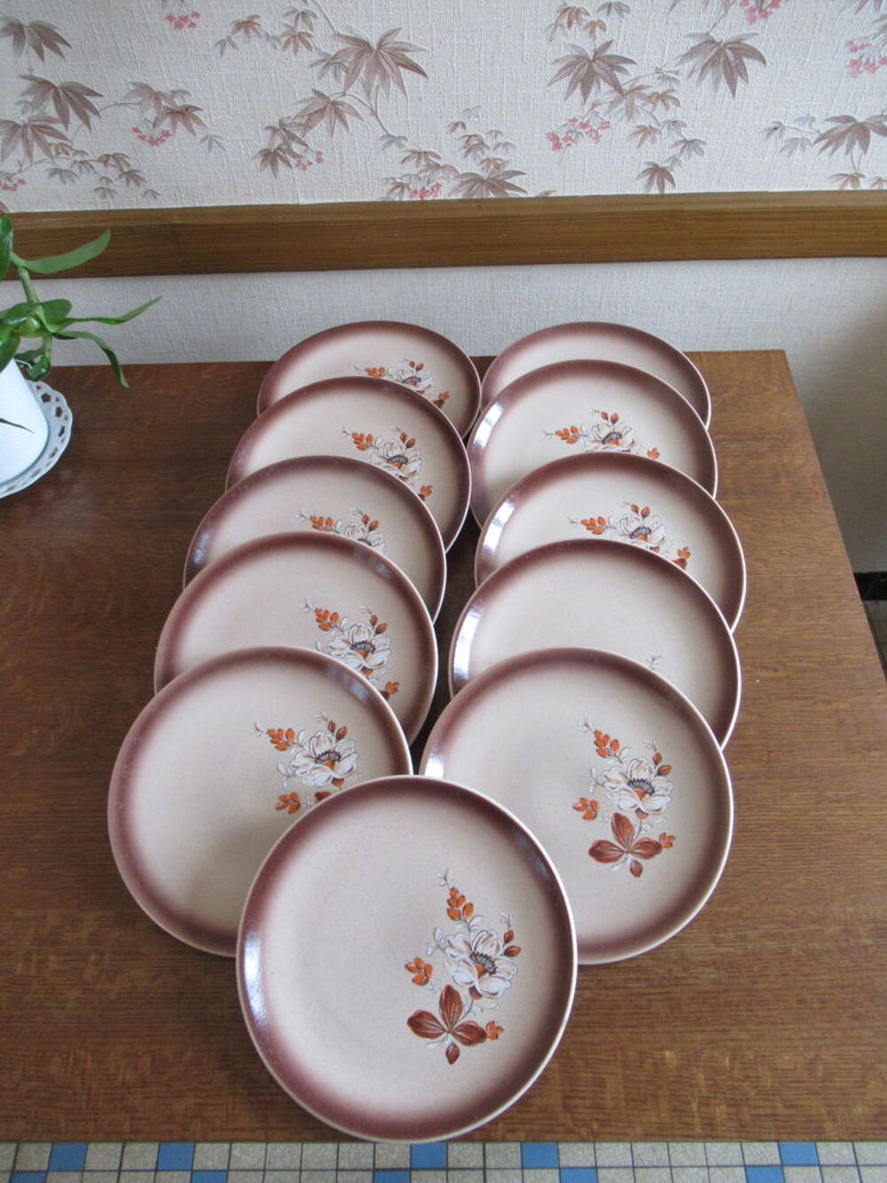 Assiettes plates fa&iuml;ence de Saint Amand mod&egrave;le Eglantine Cuisine