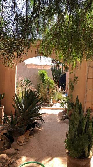  Maison � vendre 5 pi�ces 140 m� Taroudant