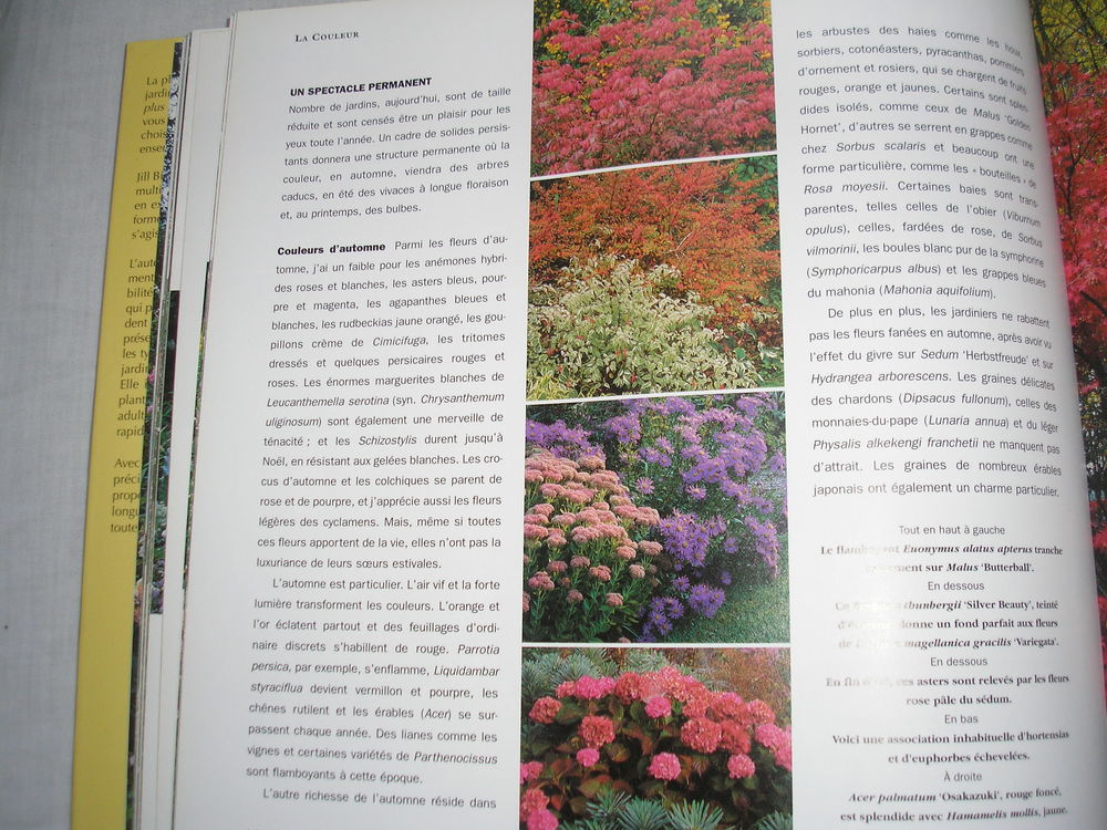 Les plus beaux mariages de plantes 