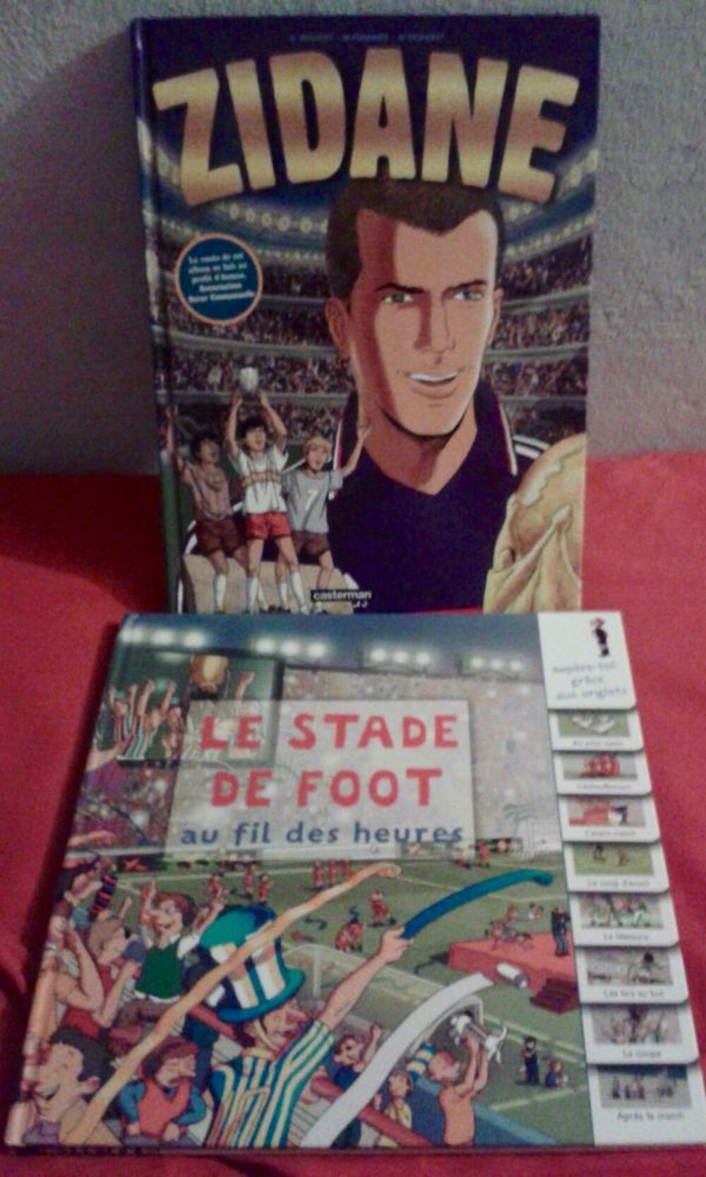 2 Livres "ZIDANE" et "Le stade de foot au fil des heures" Livres et BD