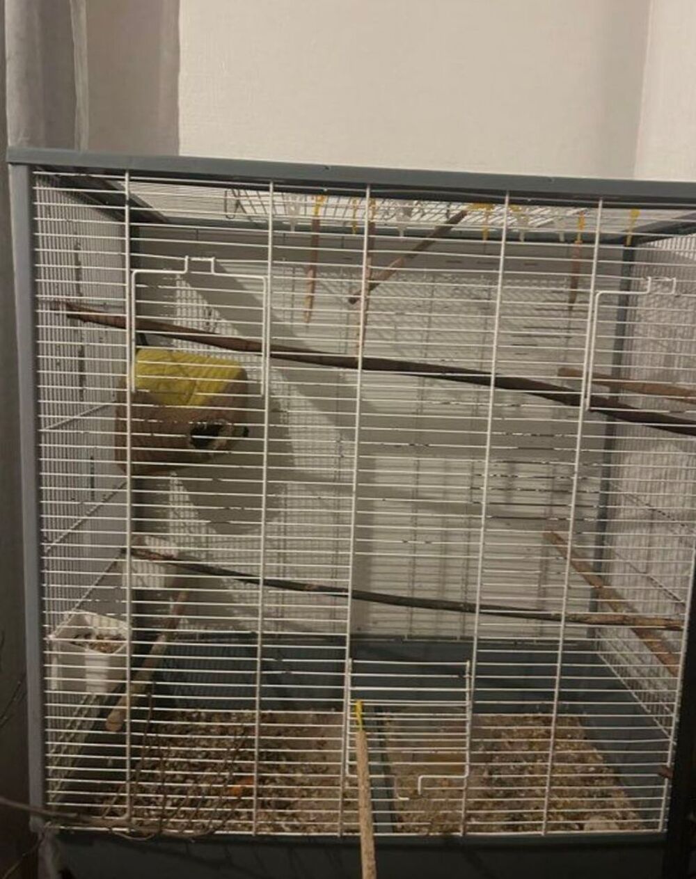 cage oiseaux Meubles