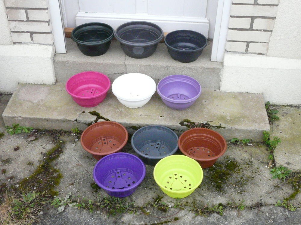 10 coupes rondes + 1 gratuite Jardin