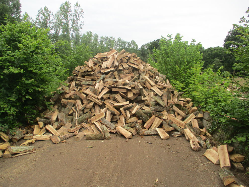 Bois de chauffage Bricolage