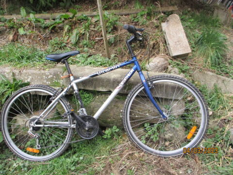 V�los VTT 30 Saint-Lattier (38)