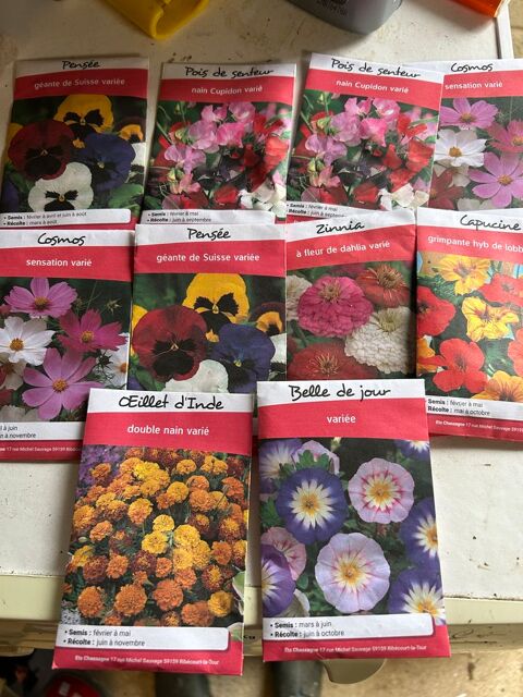 Semence  Rib�court-la-Tour (59)