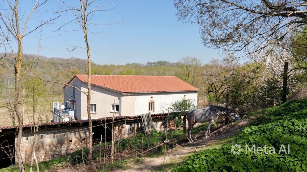 Vente Ferme Domaine de caractère avec 2 habitations et 9000 m² de terrain Fauch