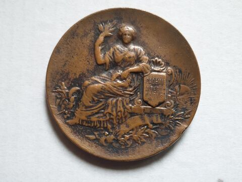 Médaille Académie International PARIS 28 Bordeaux (33)