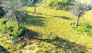  Terrain � vendre 985 m�