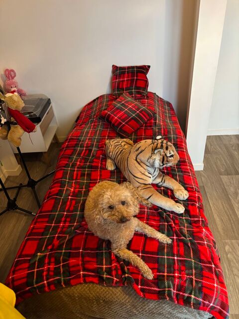 lit d'une personne 90 x 190 0 Villers-Cotter�ts (02)