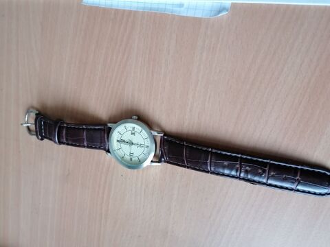 montre 10 Caux-et-Sauzens (11)