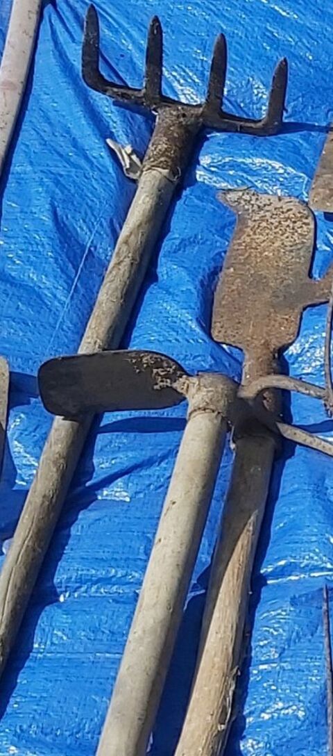 Lot d outils anciens pour le jardin 70 Paray-le-Monial (71)