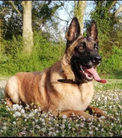 Leky 50 26700 Pierrelatte