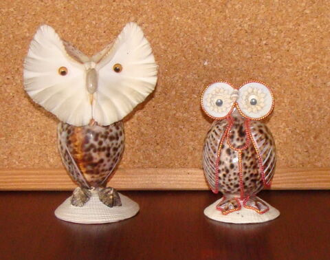 Chouettes en coquillage porcelaine Cypraea tigris 25 Antony (92)