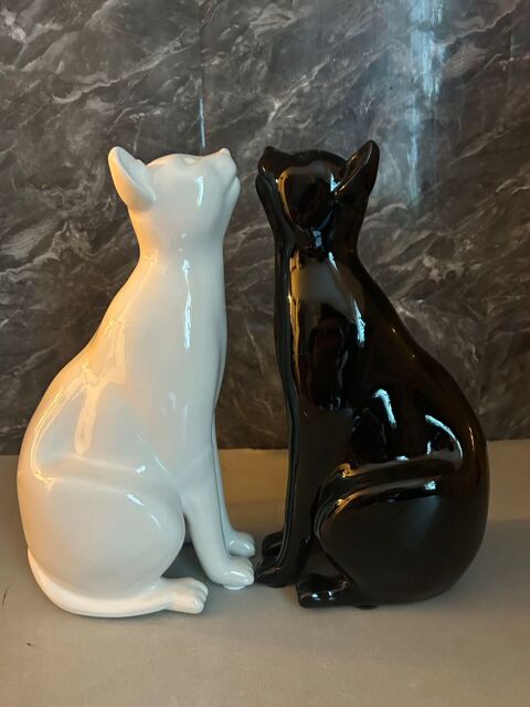 chat porcelaine, Black and White Nîmes (30)
