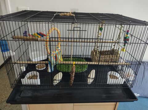 grande cage oiseaux avec accessoires 70 13015 Marseille