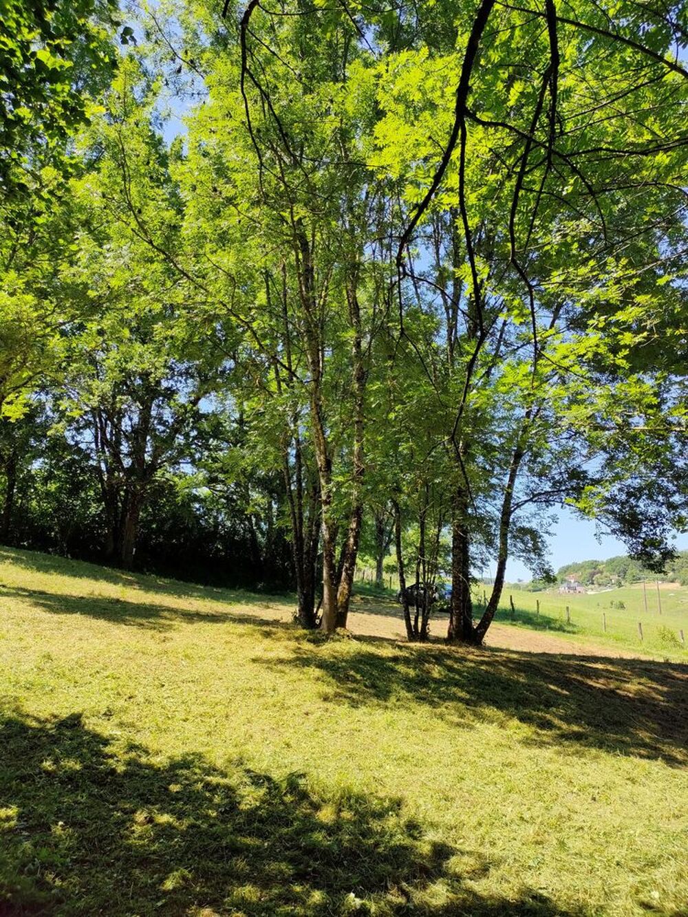 Vente Terrain Terrain de loisir de 1939m2 à Ladornac 24120 belle Vue! La dornac