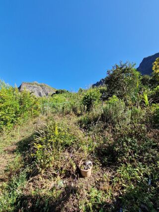  Terrain � vendre 1735 m� Cilaos
