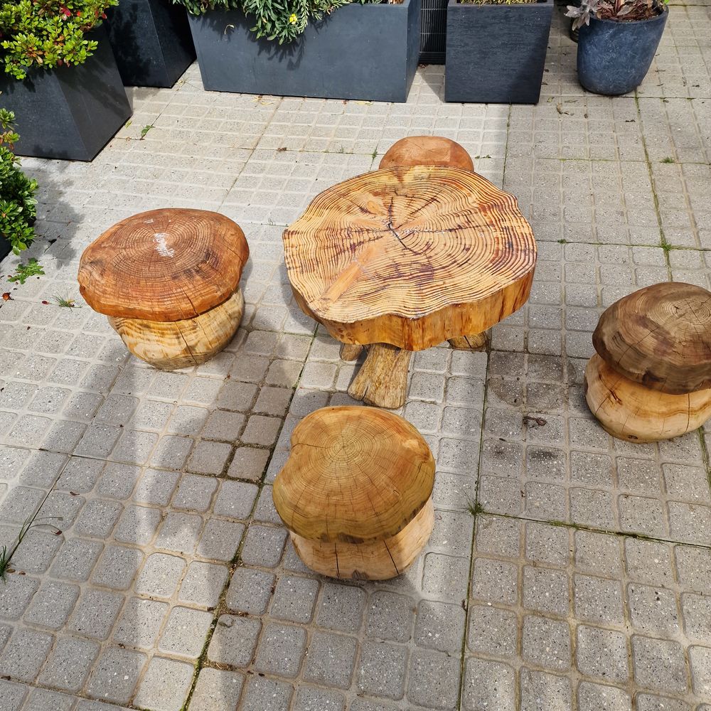Salon de jardin design. Jardin