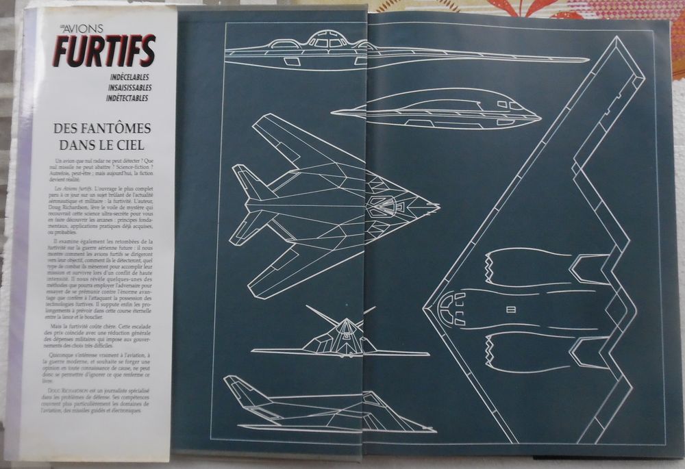 Avions furtifs ind&eacute;celables, insaisissables, ind&eacute;tectables
Livres et BD