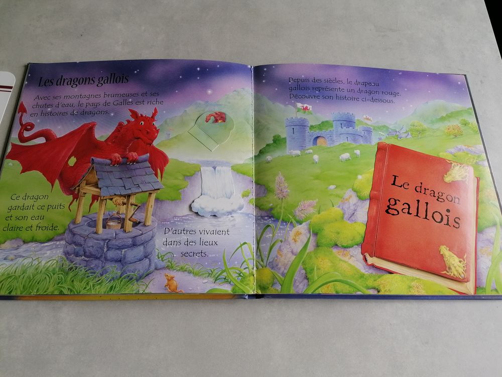 Livre enfant Les dragons avec rabats Livres et BD