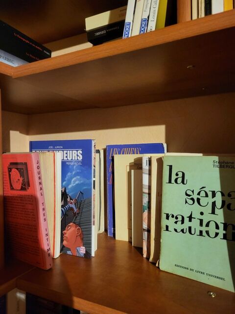 romans adultes 3 Saint-Antoine-sur-l'Isle (33)