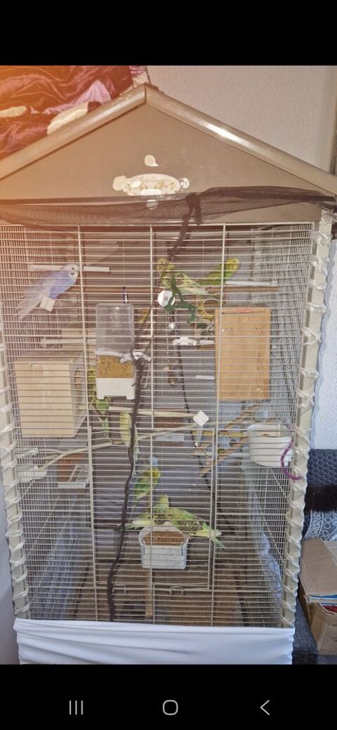 Perruche 350 34000 Montpellier