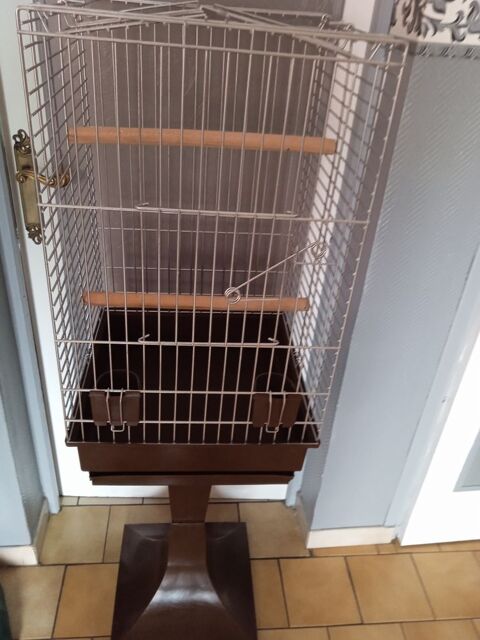   cage a perroquet 