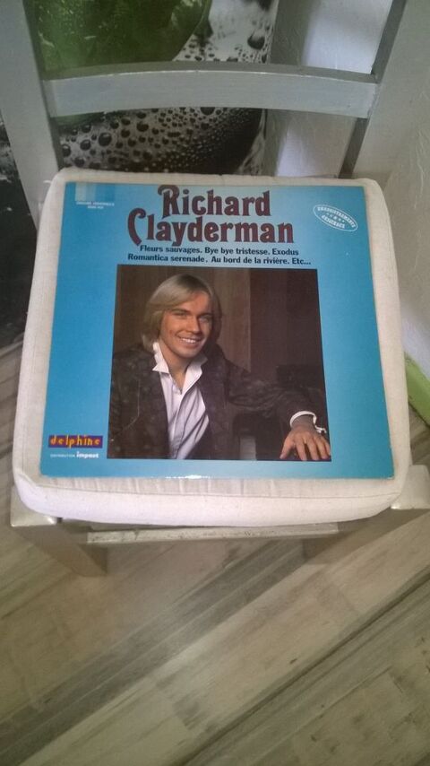 Vinyle Richard Clayderman
Excellent etat
Fleurs Sauvages
L 4 Talange (57)