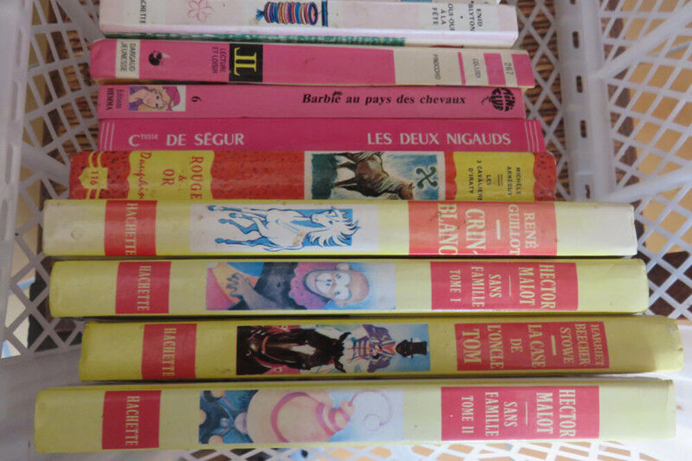 PLUSIEURS LIVRES DISNEY Livres et BD