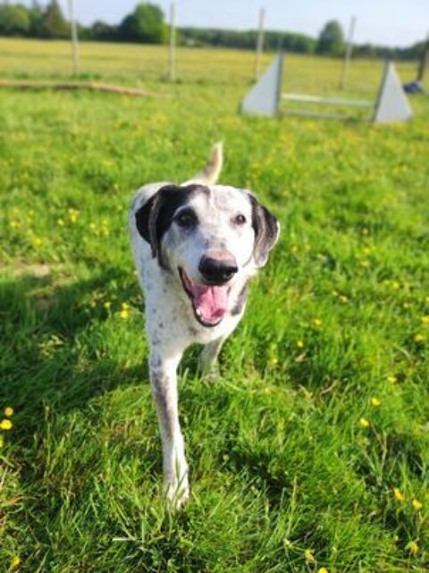 Yuvé 70 35000 Rennes