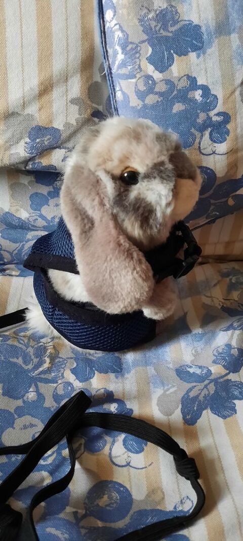 HARNAIS POUR LAPIN  NAIN 6 94320 Thiais