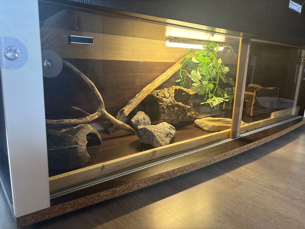 terrarium &eacute;quip&eacute; Meubles