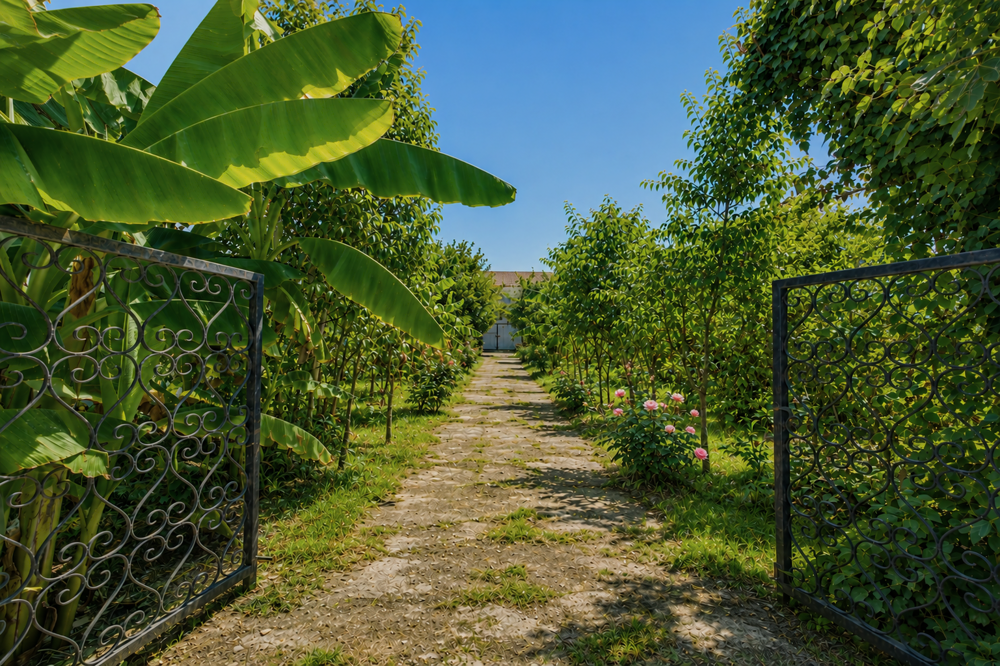 Vente Maison Bordeaux Maritime. Vaste maison bordelaise avec grand jardin Bordeaux