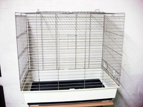 Cage blanche 78 cm x 48 cm x 75 cm
35 02100 Saint-quentin