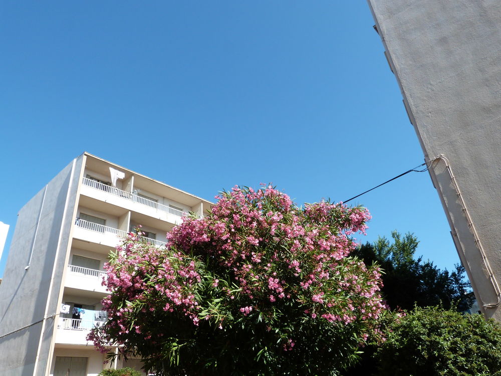 Location Appartement F1 - toulon est proche hopital Toulon