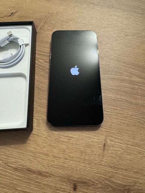 iPhone 13 Pro Max 128 gb 450 La Bouilladisse (13)