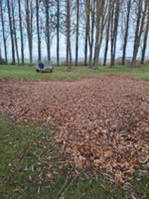   Jardinage tonte pelouse taille de haies débroussaillage  