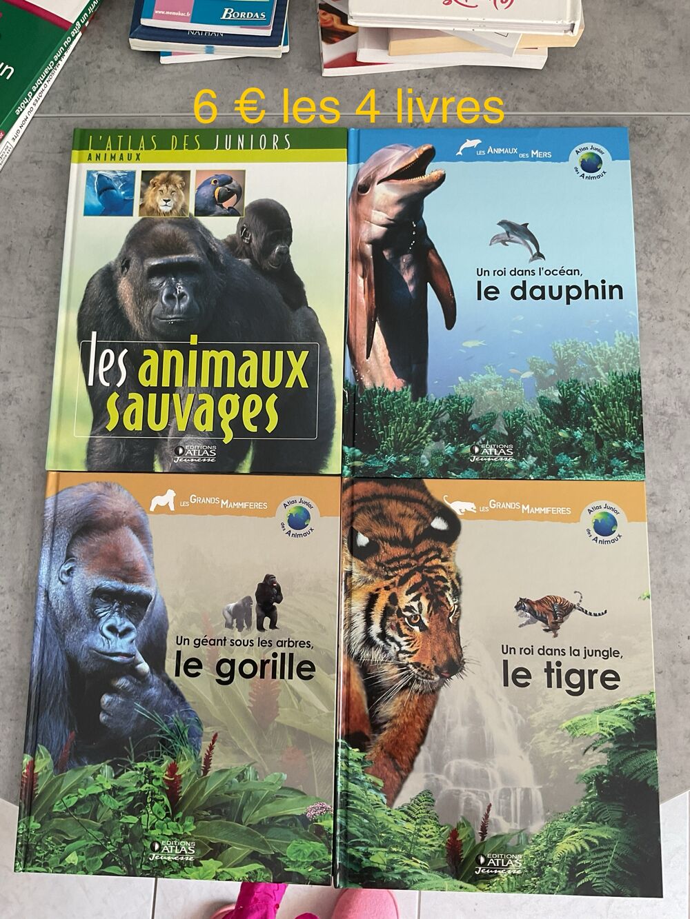 Lot de Livres Vari&eacute;s - Fiction et Non-Fiction Livres et BD