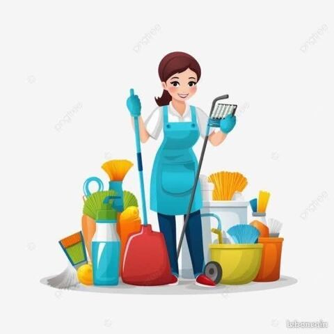 Ménage sur ROISEL ou ses proches allentours 0 80240 Roisel