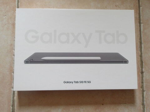 tablette Galaxy S10 FE 5G Cessieu (38)
