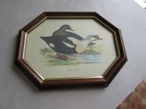 Cadres motif canard 15 Jury (57)