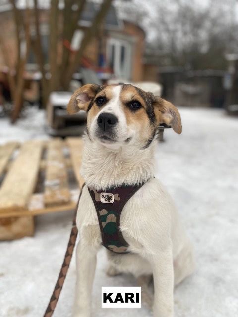 KARI SE TROUVE DANS UN REFUGE EN UKRAINE 0 75018 Paris