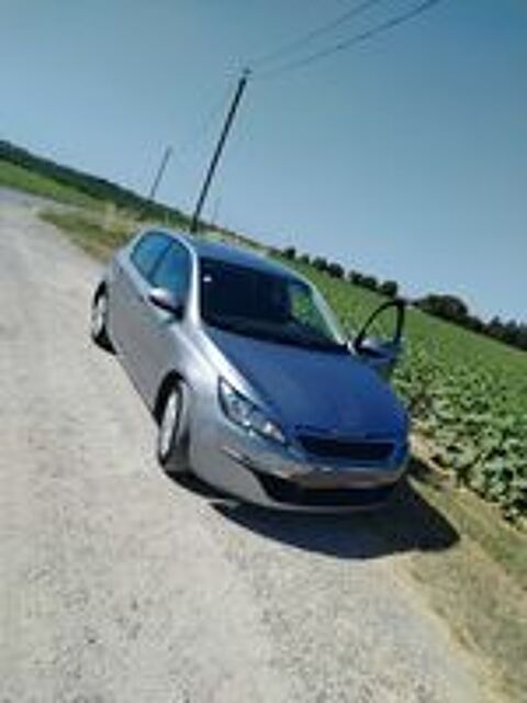 308 1.6 BLUEHDI 120 S&S BVM6 ACTIVE BUSINESS R' 2013 occasion 31120 Portet-sur-Garonne