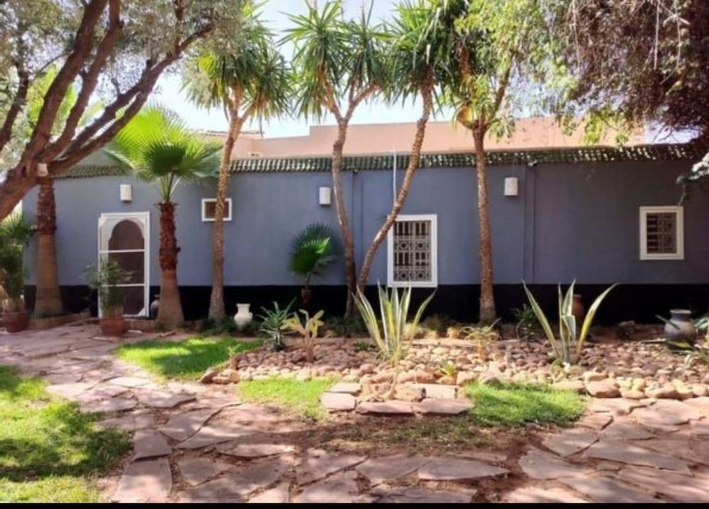 Vente Propriété/Château Projet touristique ou privé de 3 hectares dans une oliveraie Marrakech (Maroc)