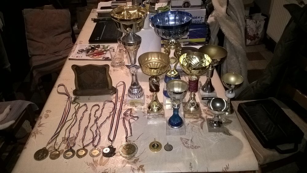 Troph&eacute;es, coupes, m&eacute;dailles diverses. 