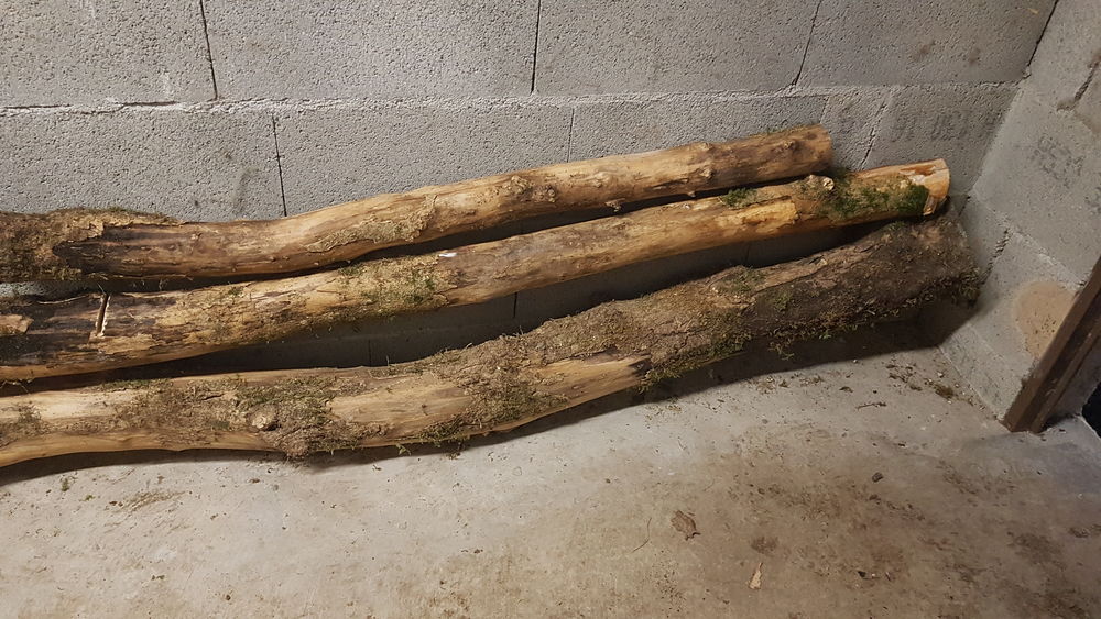 Bois de buis sec Bricolage
