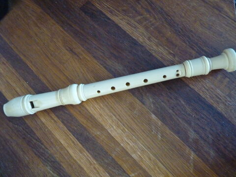 Flute instrument musique enfant tbe 1 Brienne-le-Château (10)