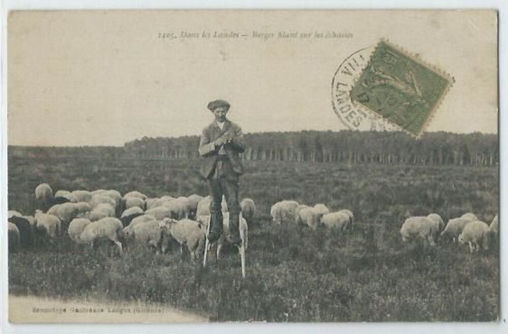 Dans les landes berger filant sur les echasses 