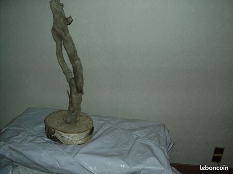 racine   bois flotte   30 Grenoble (38)