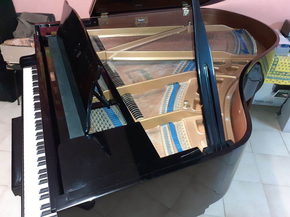 Piano 1/4 de queue Kawai mod&egrave;le KG2D Instruments de musique